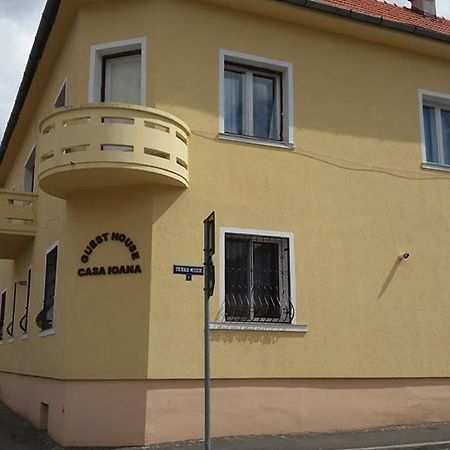 Villa Casa Ioana ブラショフ エクステリア 写真