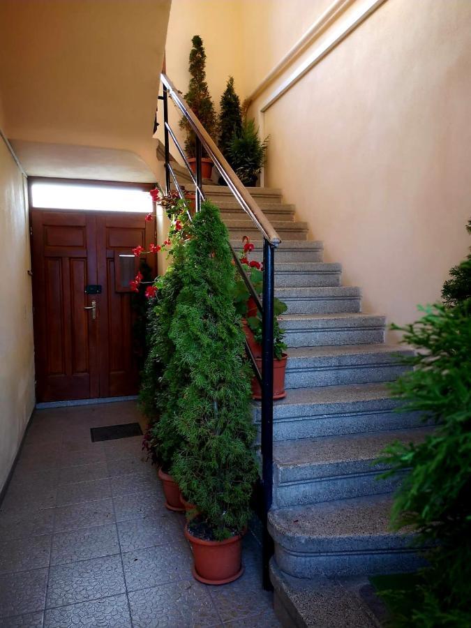 Villa Casa Ioana ブラショフ エクステリア 写真