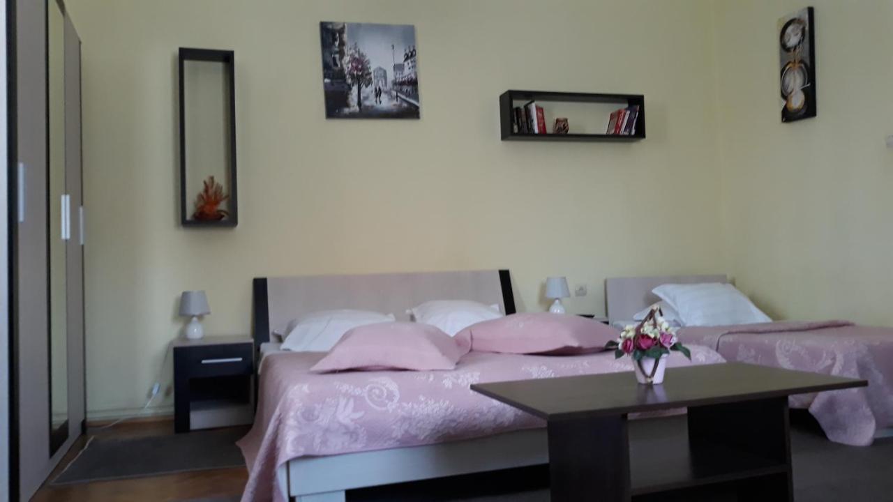 Villa Casa Ioana ブラショフ 部屋 写真