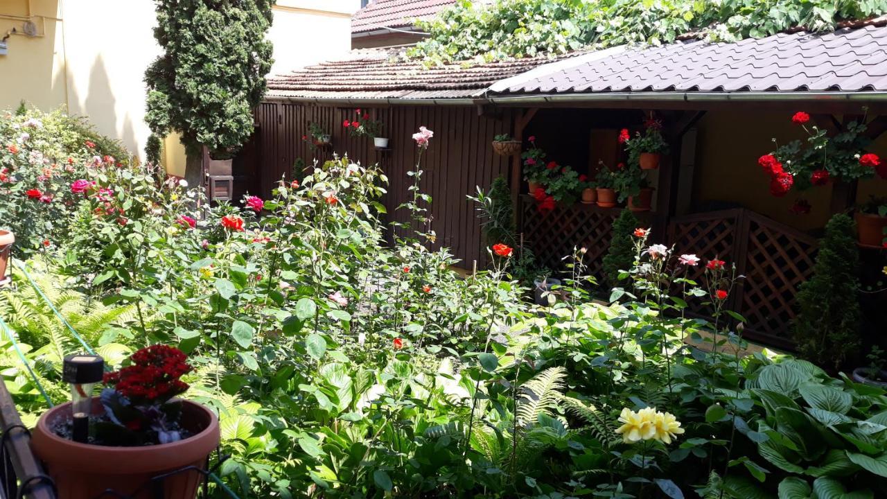 Villa Casa Ioana ブラショフ エクステリア 写真