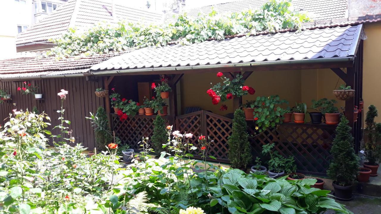 Villa Casa Ioana ブラショフ エクステリア 写真