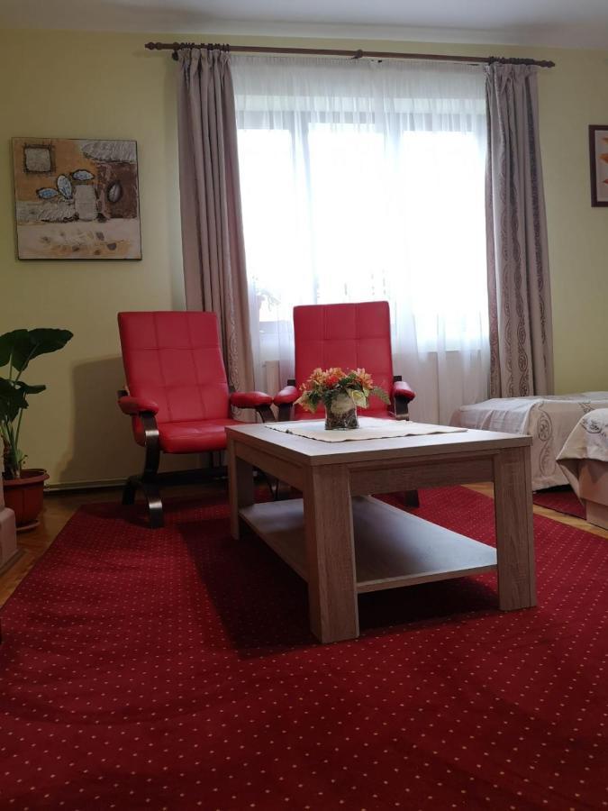 Villa Casa Ioana ブラショフ 部屋 写真