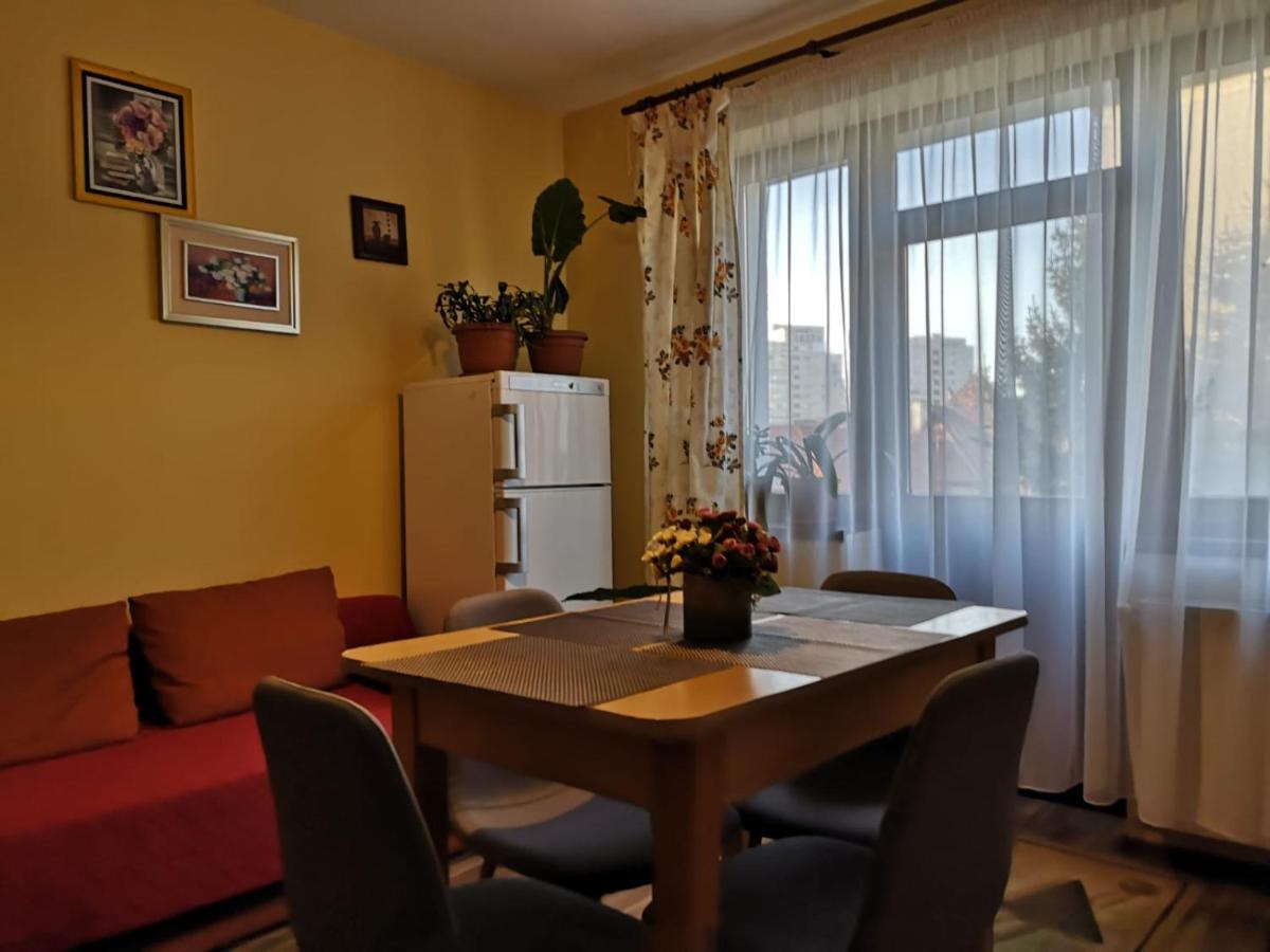 Villa Casa Ioana ブラショフ 部屋 写真