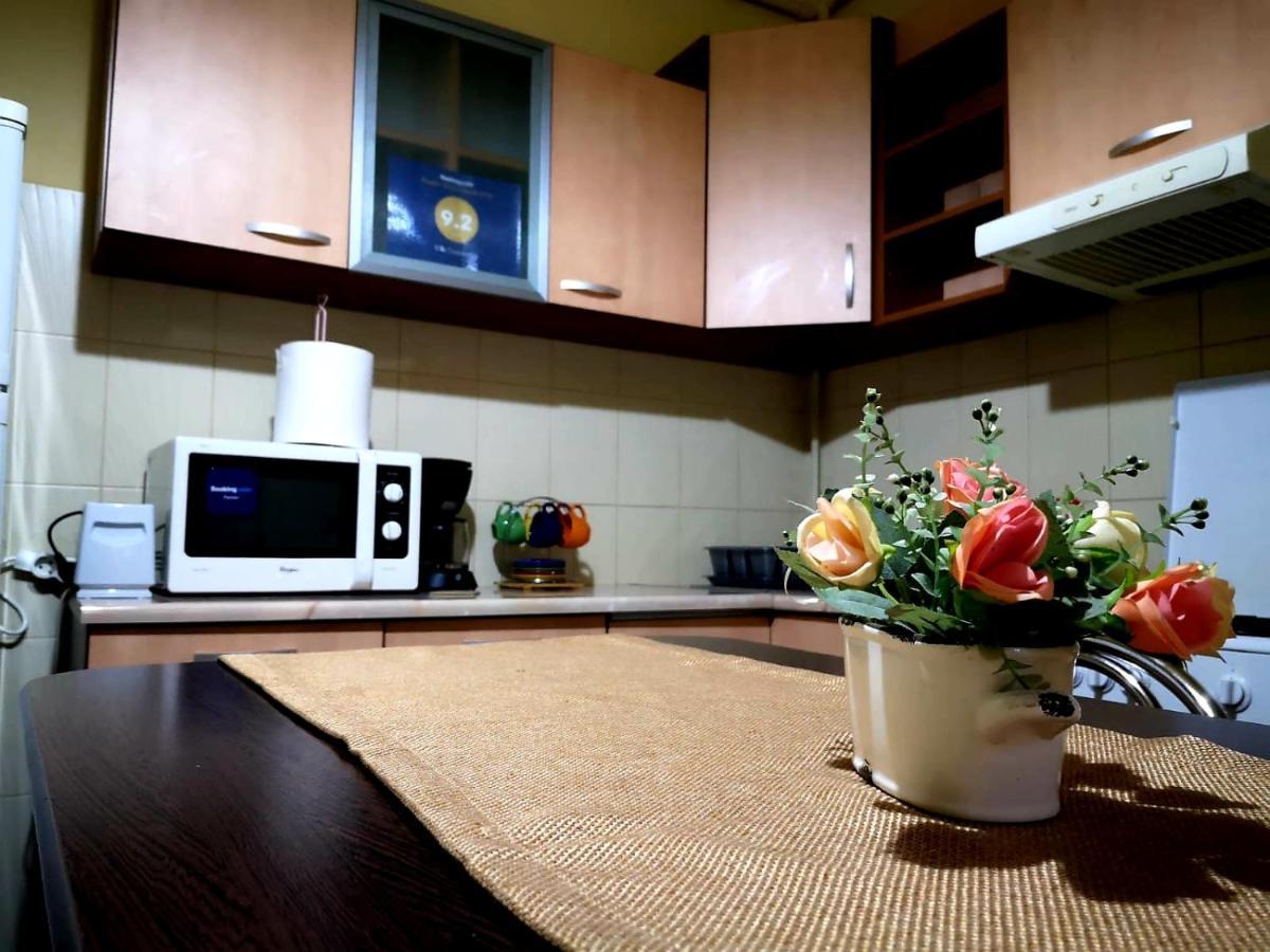 Villa Casa Ioana ブラショフ 部屋 写真