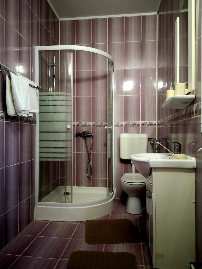 Villa Casa Ioana ブラショフ 部屋 写真