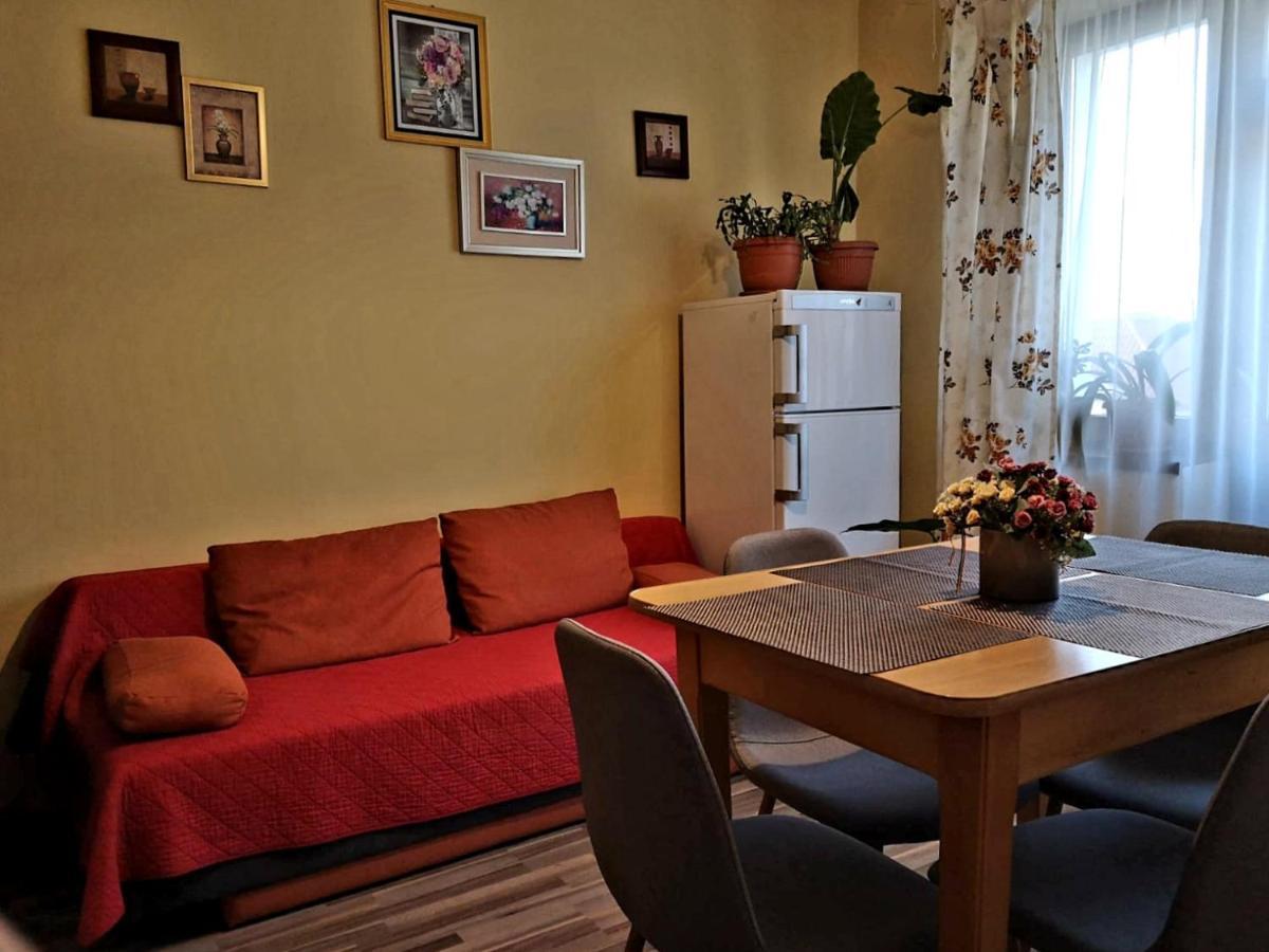 Villa Casa Ioana ブラショフ 部屋 写真