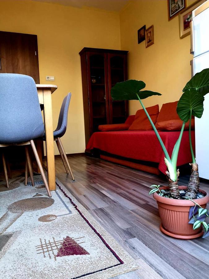 Villa Casa Ioana ブラショフ 部屋 写真