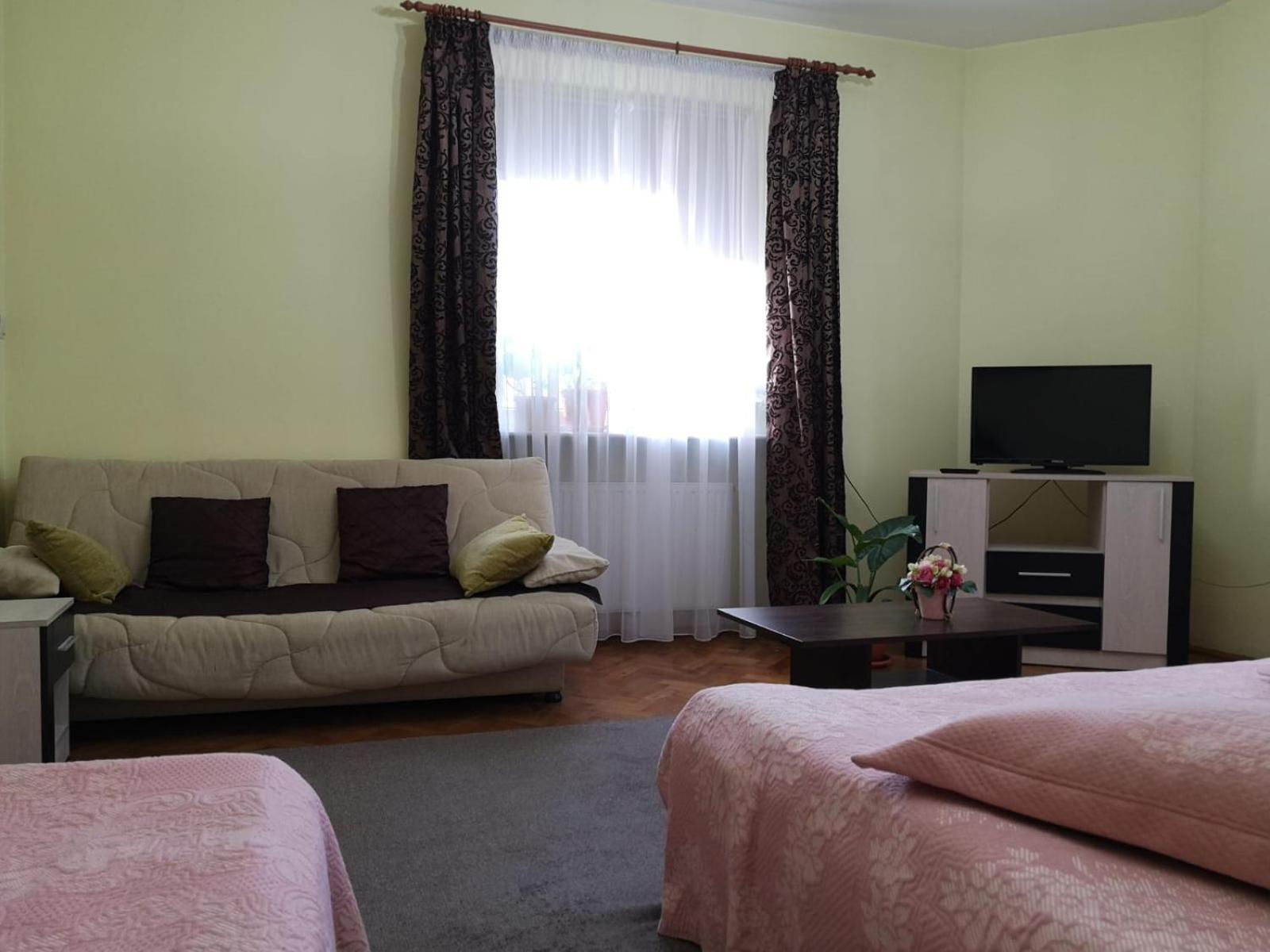 Villa Casa Ioana ブラショフ 部屋 写真