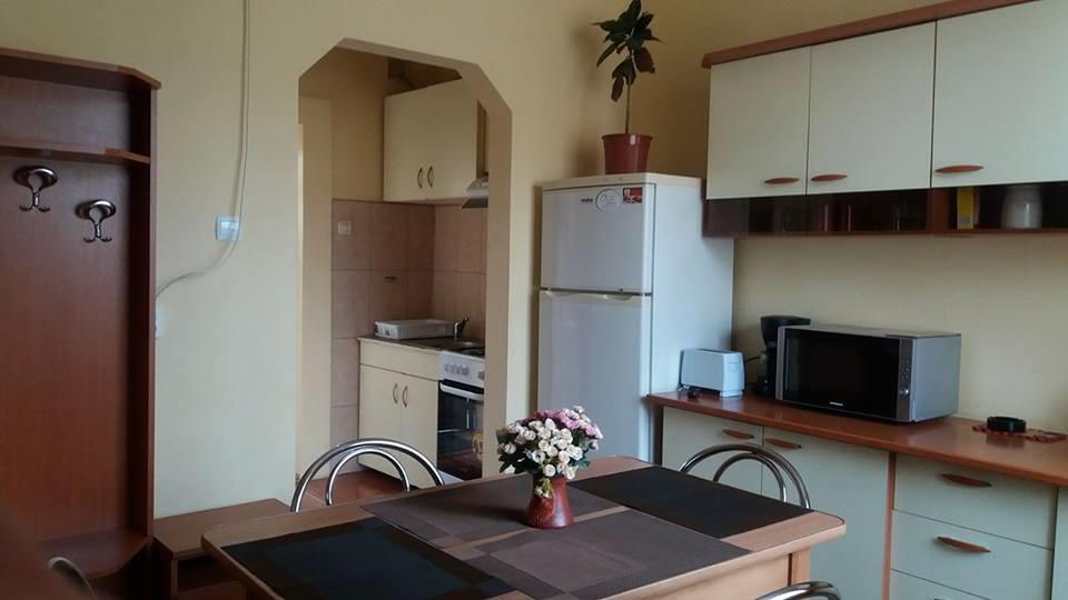 Villa Casa Ioana ブラショフ エクステリア 写真