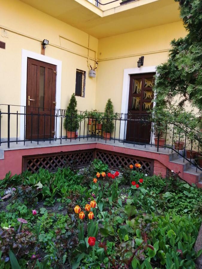 Villa Casa Ioana ブラショフ エクステリア 写真